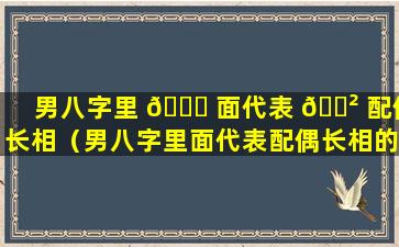 男八字里 🐕 面代表 🌲 配偶长相（男八字里面代表配偶长相的是什么）